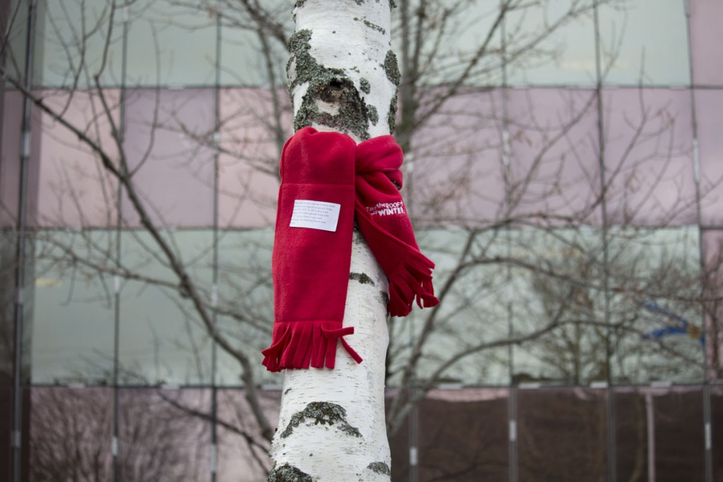 ACCB Red Flag 1024x683