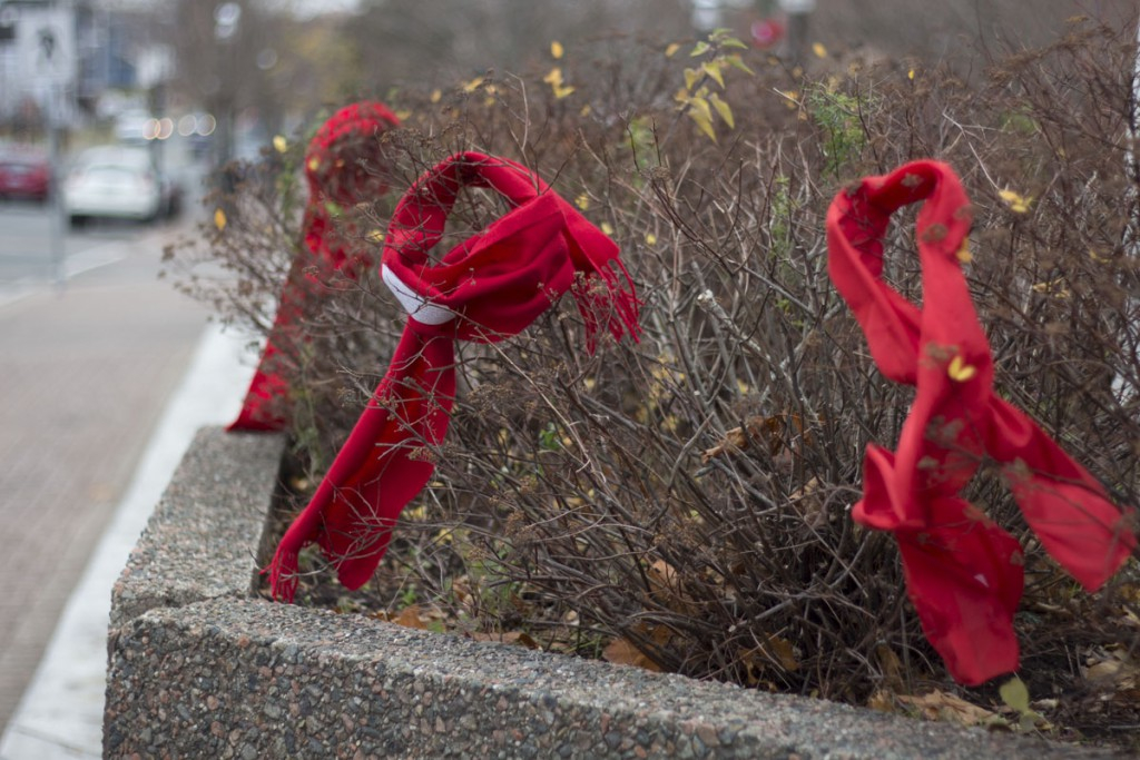 ACCB Red Flag 2 1024x683